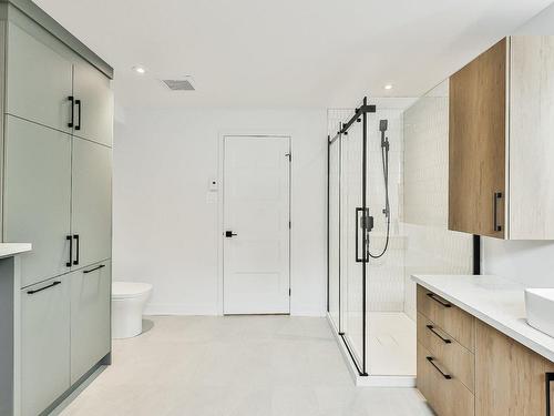 Salle de bains - Rue Du Faubourg, Saint-Jérôme, QC - Indoor Photo Showing Bathroom