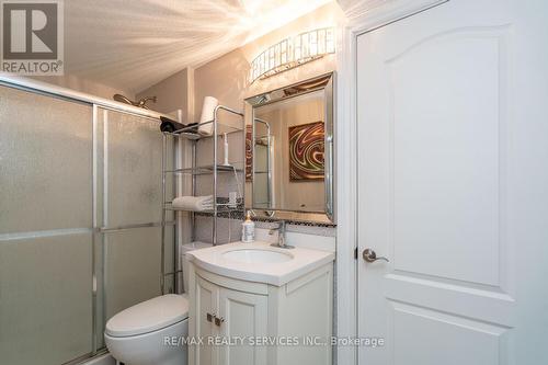 207 Richmeadow Road, London, ON - Indoor Photo Showing Bathroom