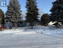 317 Waterloo CRESCENT  Saskatoon, SK S7H 4H7