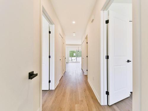 Hall - 182 Rue Ste-Catherine, Longueuil (Le Vieux-Longueuil), QC - Indoor Photo Showing Other Room