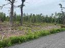 2 Priests Road, Central Caribou, NS 