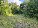59 Summer Leigh Trail, Huntsville (Stephenson), ON 