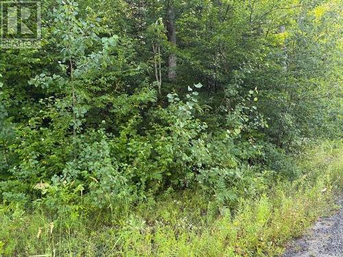 59 Summer Leigh Trail, Huntsville (Stephenson), ON 