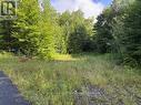 59 Summer Leigh Trail, Huntsville (Stephenson), ON 