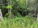 47 Summer Leigh Trail, Huntsville (Stephenson), ON 