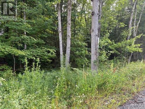 47 Summer Leigh Trail, Huntsville (Stephenson), ON 