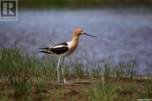 6 Bronco Drive, Big River Rm No. 555, SK - Outdoor With View
