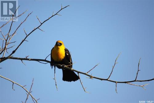 6 Bronco Drive, Big River Rm No. 555, SK -  With View