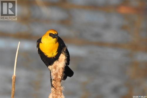 6 Bronco Drive, Big River Rm No. 555, SK - Indoor Photo Showing Other Room