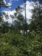 23 Sunset COVE  Big River Rm No. 555, SK S0J 0E0