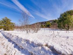 16A Ch. du Tournesol  Notre-Dame-Du-Laus, QC J0X 2M0