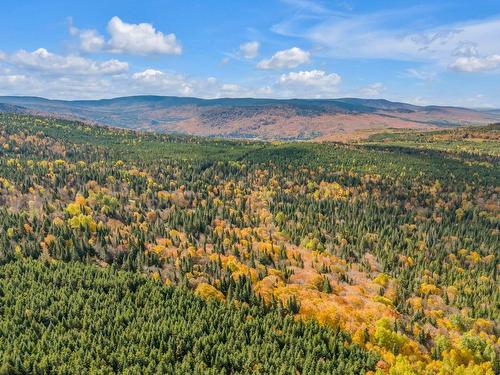 Terre/Terrain - Rg St-Isidore, Saint-Philémon, QC 