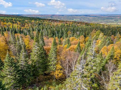 Terre/Terrain - Rg St-Isidore, Saint-Philémon, QC 