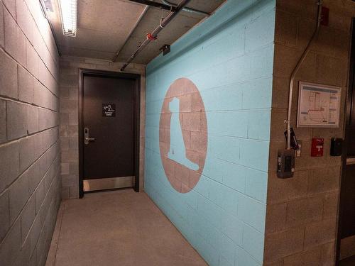 Other - 624-2542 Place Pierre-Falardeau, Montréal (Rosemont/La Petite-Patrie), QC - Indoor