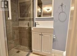 Lower Level bathroom - 