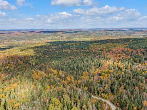 Terre/Terrain - Route Du 6E Rang, Saint-Philémon, QC 