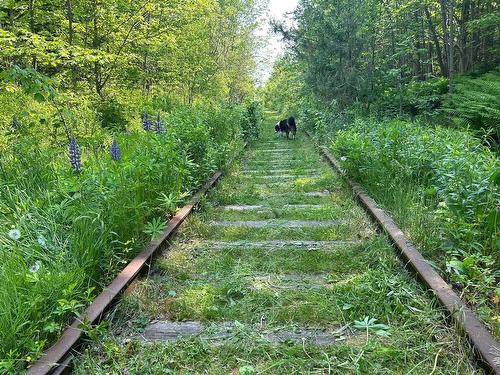 (Unit 1) 130 Everlina Lane, Windsor Junction, NS 