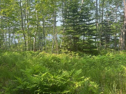 (Unit 1) 130 Everlina Lane, Windsor Junction, NS 