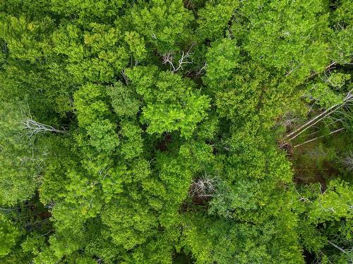 Sheet Harbour Road, Mill Lake, NS 