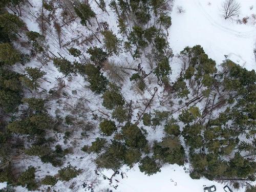 Polar Bear Lane, South Bar, NS 