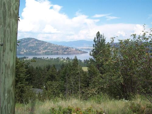 358 Mountain Drive, Vernon, BC - Outdoor With View