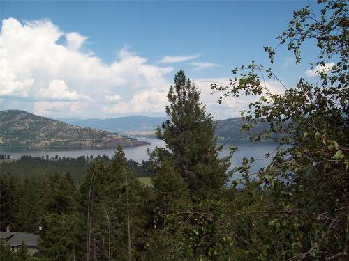 358 Mountain Drive, Vernon, BC - Outdoor With View