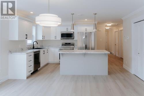 3B Temple Avenue, Appleton, NL - Indoor Photo Showing Kitchen With Stainless Steel Kitchen With Upgraded Kitchen