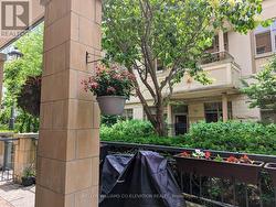 Lush greenery outside terrace - 