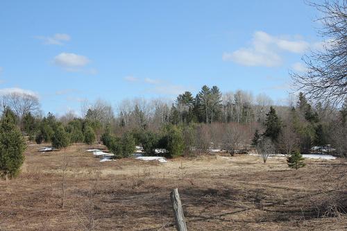 Extérieur - 4304 Route 315, Mayo, QC 