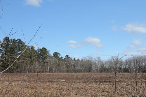 Extérieur - 4304 Route 315, Mayo, QC 