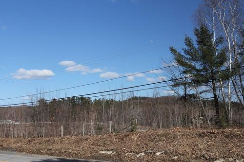 Extérieur - 4304 Route 315, Mayo, QC 