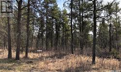 Reclot 2 Blk 2  Hudson Bay Rm No. 394, SK S0E 0Y0