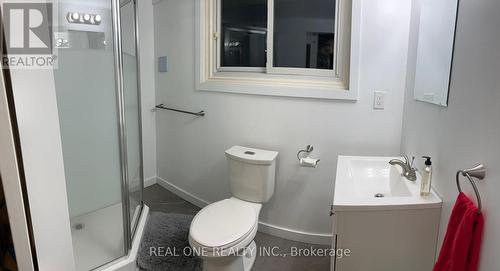 4524 Longmoor Drive, Burlington, ON - Indoor Photo Showing Bathroom