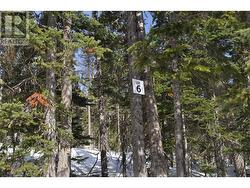 Pr. St Lt 6 ALPINE WAY  Smithers, BC V0J 2N0