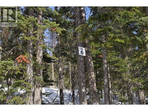 Pr. St Lt 6 Alpine Way, Smithers, BC 