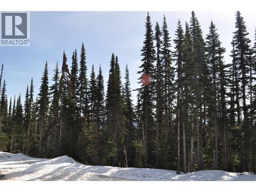 Pr. St Lt 6 Alpine Way, Smithers, BC 