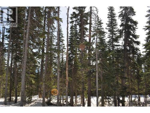 Pr. St Lt 6 Alpine Way, Smithers, BC 