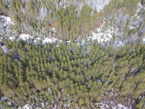 Highway 201, South Farmington, NS 