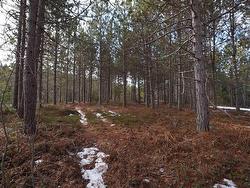 Highway 201  South Farmington, NS B0P 1W0