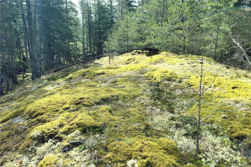 Lot 4-2140 Hyacinthe Bay Rd, Quadra Island, BC 