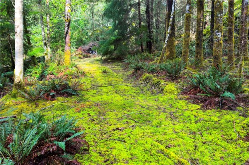 Lot 4-2140 Hyacinthe Bay Rd, Quadra Island, BC 