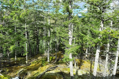 Lot 4-2140 Hyacinthe Bay Rd, Quadra Island, BC 