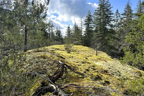 Lot 4-2140 Hyacinthe Bay Rd, Quadra Island, BC 
