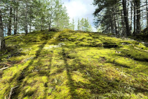 Lot 4-2140 Hyacinthe Bay Rd, Quadra Island, BC 