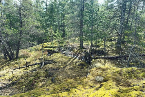 Lot 4-2140 Hyacinthe Bay Rd, Quadra Island, BC 