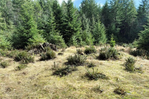 Lot 4-2140 Hyacinthe Bay Rd, Quadra Island, BC 