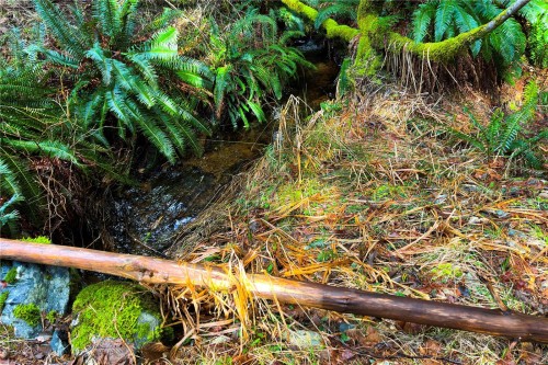 Lot 4-2140 Hyacinthe Bay Rd, Quadra Island, BC 