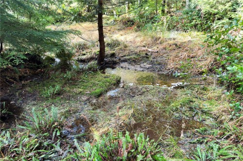 Lot 4-2140 Hyacinthe Bay Rd, Quadra Island, BC 