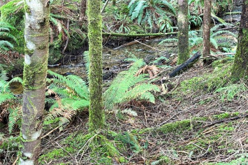 Lot 4-2140 Hyacinthe Bay Rd, Quadra Island, BC 