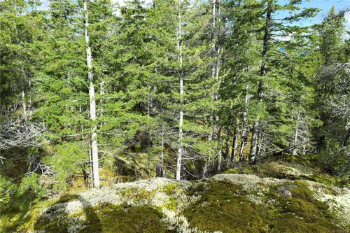 Lot 4-2140 Hyacinthe Bay Rd, Quadra Island, BC 